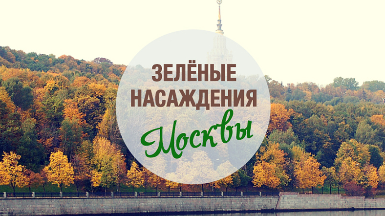 План зеленых насаждений москвы